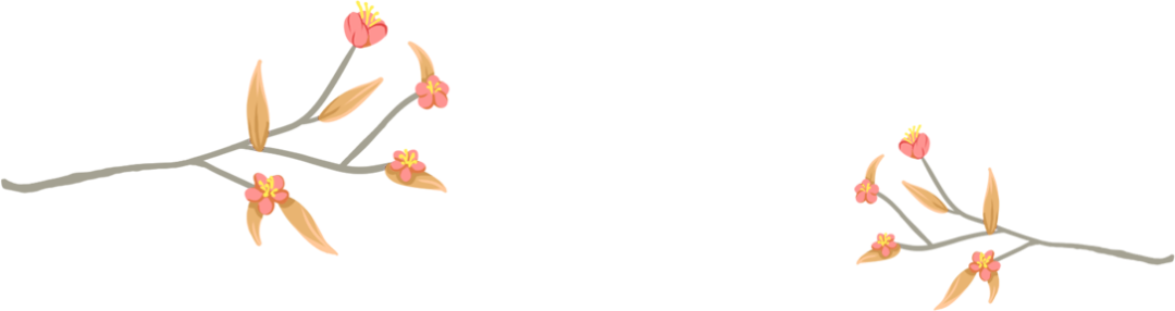 1669255628119907.png